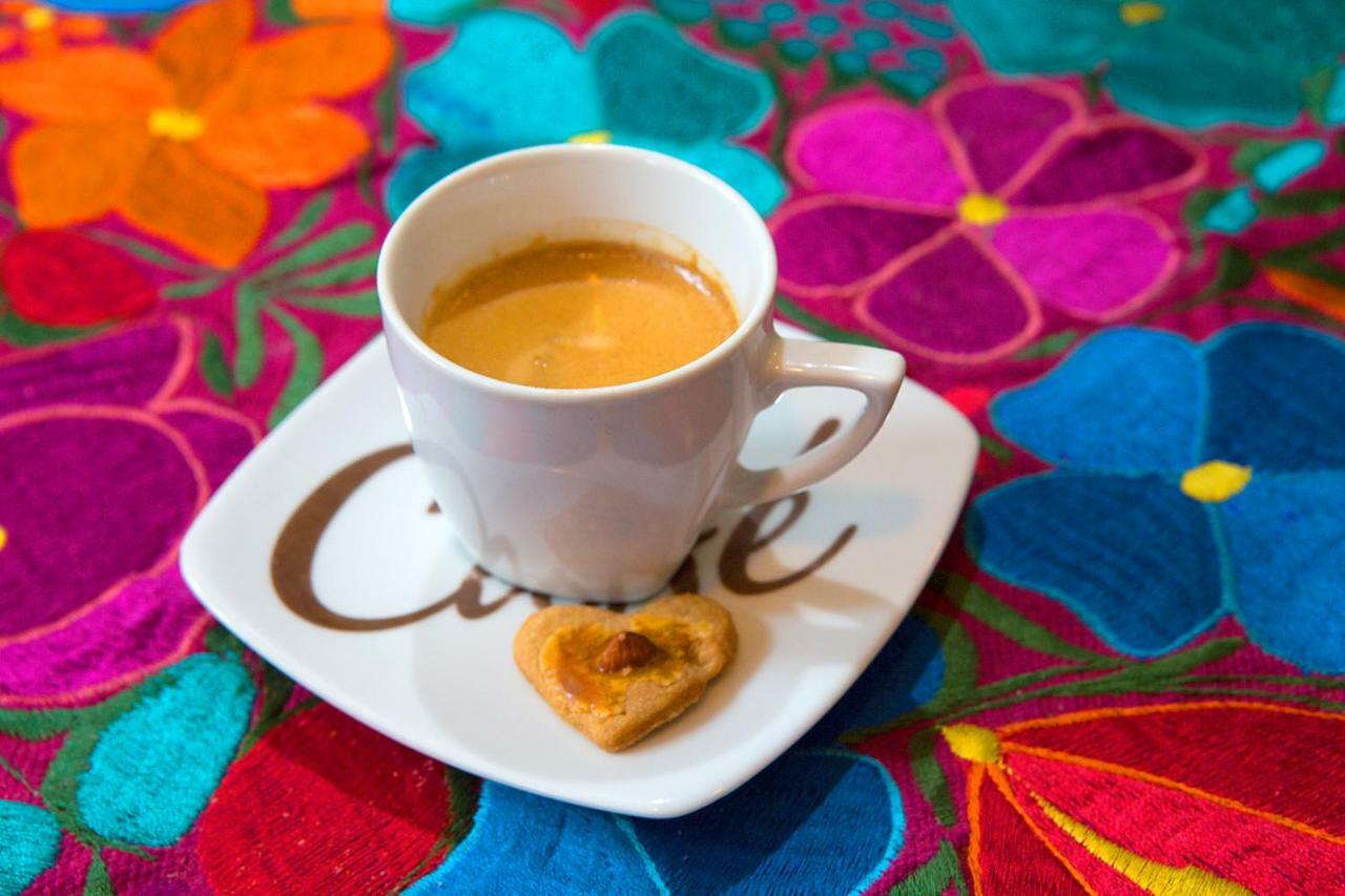 Suites Condesa Meksika Dış mekan fotoğraf